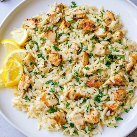 A delicious bowl of Creamy Lemon Chicken Orzo, garnished with fresh parsley and bright lemon slices.